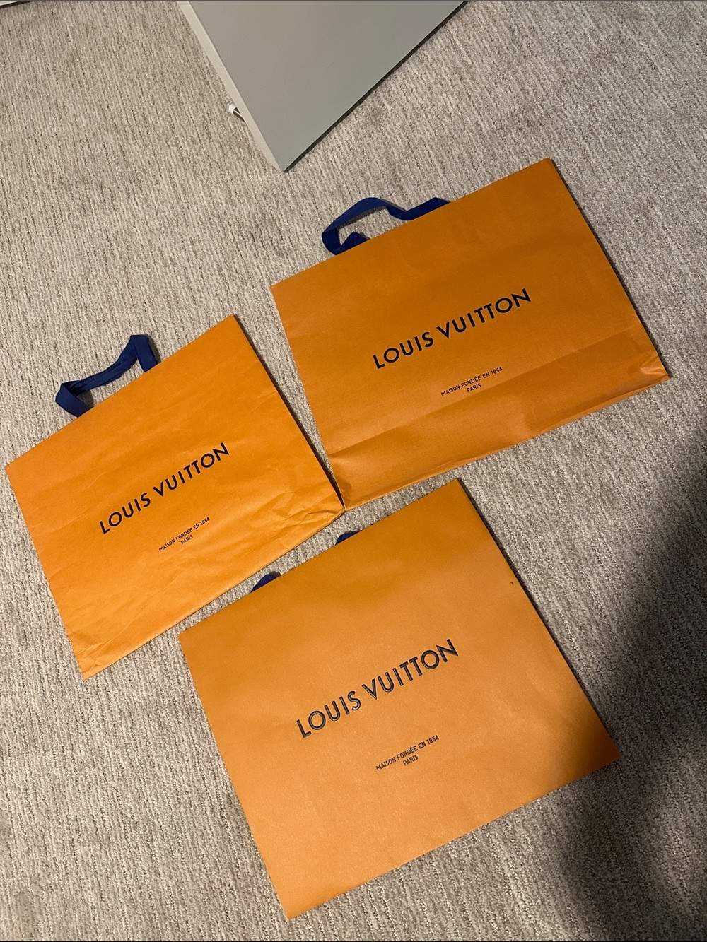 Louis Vuitton shopping bags